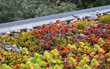 the cost of Shalcombe green roof installation