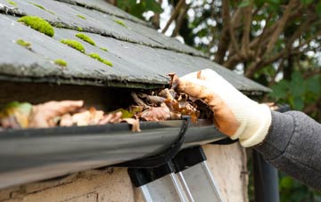 gutter cleaning Shalcombe, Isle Of Wight