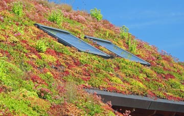 Shalcombe living roof systems