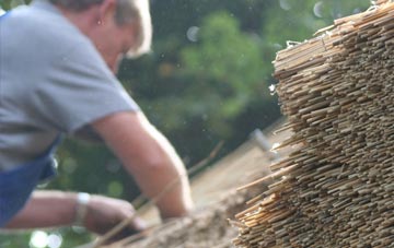 professional Shalcombe thatchers